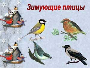 Загадки про зимующих птиц