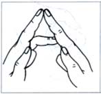 «Пальчиковая азбука и гимнастика в стихах» — упражнения в стихах как одно из средств профилактики дизграфии у детей с нарушениями речи.