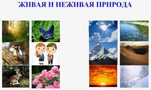 Живая И Неживая Природа Фото Живая И Неживая Природа Фото