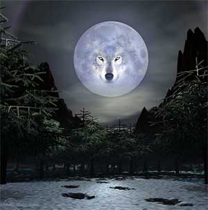 Сказка Заколдованный волк