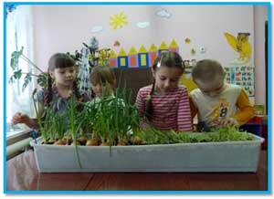 Уголок природы, как  развивающая среда для экологического образования детей