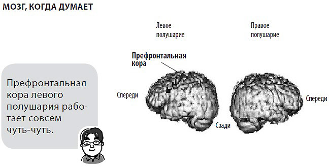 тренировка мозга