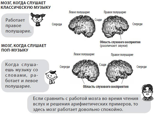 тренировка мозга