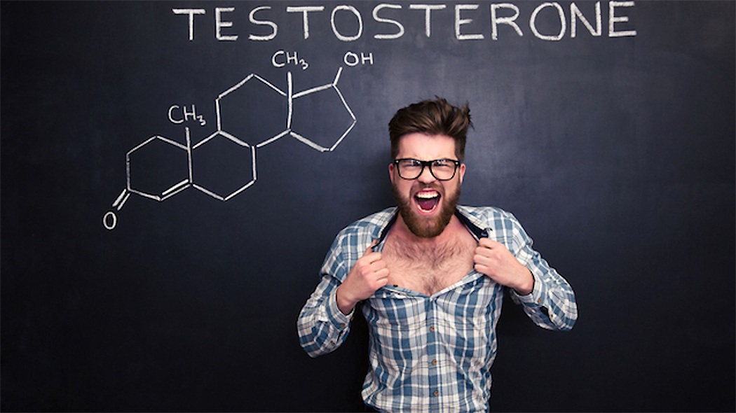 тестостерон влияет на агрессивностья