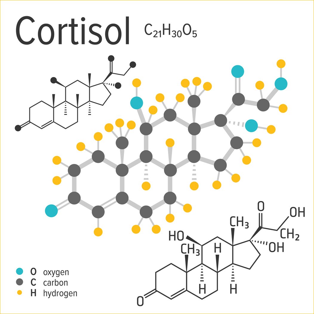 формула гормона кортизола