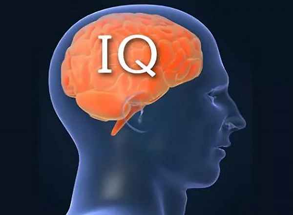 уровень интеллекта (IQ)