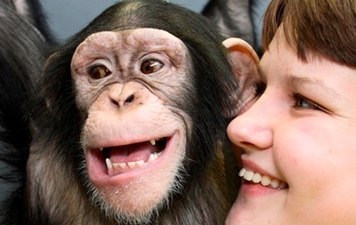 улыбка обезьяны