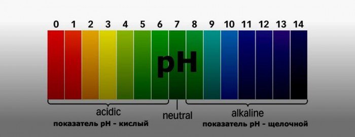  pH            
